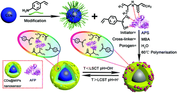 A biomimetic fluorescent nanosensor based on imprinted polymers ...