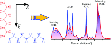 Deciphering The Orientation Of Lipid Molecules By Principal Component Analysis Of Raman Mapping Data Analyst Rsc Publishing