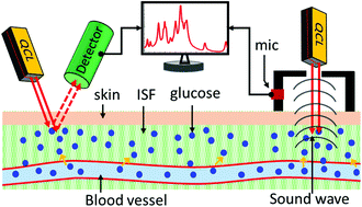 Noninvasive blood glucose detection using a quantum ...