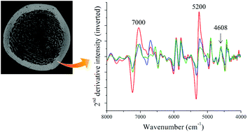 Near infrared spectroscopic assessment of loosely and tightly bound  cortical bone water - Analyst (RSC Publishing)