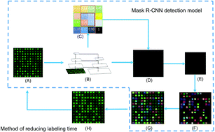 A Novel Method Based On A Mask R Cnn Model For Processing Dpcr Images Analytical Methods Rsc Publishing