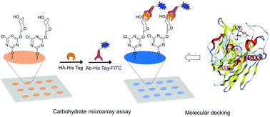 Carbohydrate microarray-based analysis of specific interactions between ...