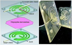 On Chip Electromembrane Extraction Followed By Sensitive Digital Image Based Colorimetry For Determination Of Trace Amounts Of Cr Vi Analytical Methods Rsc Publishing