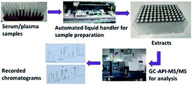 Automated sample preparation and GC-API-MS/MS as a powerful tool for ...
