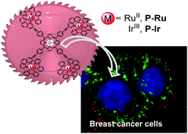 Multinuclear Ru Ii And Ir Iii Decorated Tetraphenylporphyrins As Efficient Pdt Agents Biomaterials Science Rsc Publishing