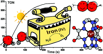 Efficient Visible Light Driven Water Oxidation Catalysed By An Iron Iv Clathrochelate Complex Chemical Communications Rsc Publishing