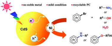 Practical Heterogeneous Photoredox Nickel Dual Catalysis For C N And C O Coupling Reactions Chemical Communications Rsc Publishing