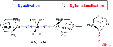 Cobalt I Triphos Dinitrogen Complexes Activation And Silyl Functionalisation Of N2 Chemical Communications Rsc Publishing
