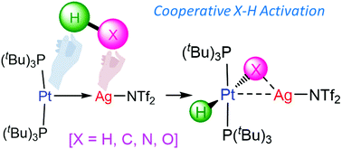 Cooperative Activation Of X H X H C O N Bonds By A Pt 0 Ag I Metal Only Lewis Pair Chemical Communications Rsc Publishing