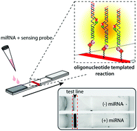 An Overview for the Nanoparticles‐Based Quantitative Lateral Flow Assay -  Wang - - Small Methods - Wiley Online Library