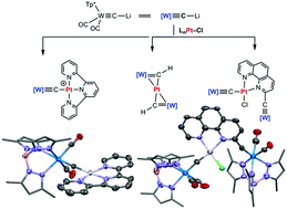 Tungsten Platinum M Carbido And M Methylidyne Complexes Chemical Communications Rsc Publishing