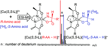 Mass Spectrometric Detection Of Enantioselectivity In Three Component Complexation Copper Ii Chiral Tetradentate Ligand Free Amino Acid In Solution Chemical Communications Rsc Publishing