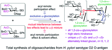 Total Synthesis Of The Helicobacter Pylori Serotype O2 O Antigen A 1 2 And A 1 3 Linked Oligoglucosides Chemical Communications Rsc Publishing