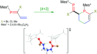 Diels Alder Reactions Of 1 Phosphabutadienes A Highly Selective Route To P Double Bond Length As M Dash C Substituted Phosphacyclohexenes Chemical Communications Rsc Publishing