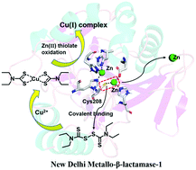 Disulfiram As A Potent Metallo B Lactamase Inhibitor With Dual Functional Mechanisms Chemical Communications Rsc Publishing