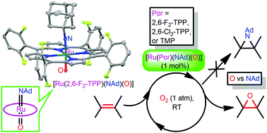 The First Crystallographically Characterised Ruthenium Vi Alkylimido Porphyrin Competent For Aerobic Epoxidation And Hydrogen Atom Abstraction Chemical Communications Rsc Publishing