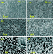 Laser molecular beam epitaxy of vertically self-assembled GaN nanorods on  Ta metal foil: role of growth temperature and laser repetition rate -  CrystEngComm (RSC Publishing)