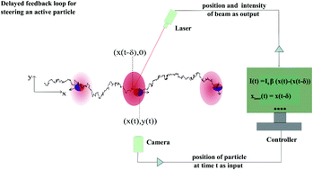 Delayed Feedback Control Of Active Particles A Controlled Journey Towards The Destination Physical Chemistry Chemical Physics Rsc Publishing