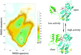 Multiscale landscape of molecular mechanism of SIRT1 activation by