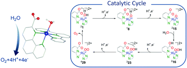 Ruthenium-based catalysts for water oxidation: the key role of carboxyl ...