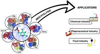 enzymes plp biocatalysts catalysis chemical pharmaceutical dependent mechanistic graphical biosim