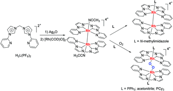 Unbridged Rh Ii Rh Ii Complexes Of N Heterocyclic Carbenes And Reactions With O2 To Form Dirhodium M H1 H1 O2 Complexes Dalton Transactions Rsc Publishing