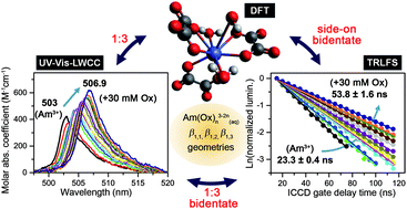 Spectroscopic Speciation Of Aqueous Am Iii Oxalate Complexes Dalton Transactions Rsc Publishing