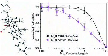 Enhanced cytotoxicity of indenyl molybdenum(ii) compounds bearing a  thiophene function - Dalton Transactions (RSC Publishing)
