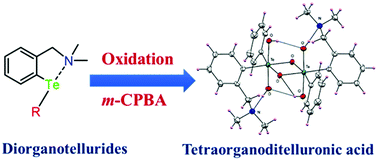 Oxidation Behavior Of Intramolecularly Coordinated Unsymmetrical Diorganotellurides Isolation Of Novel Tetraorganoditelluronic Acids Rr Te M O Oh 2 2 Dalton Transactions Rsc Publishing