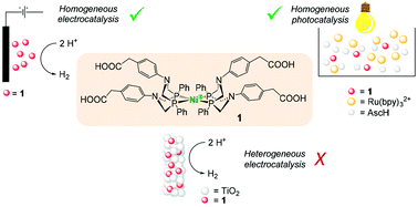 Homogeneous Vs Heterogeneous Catalysis For Hydrogen Evolution By A Nickel Ii Bis Diphosphine Complex Dalton Transactions Rsc Publishing