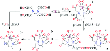 Regioselective Conversions Of H4pdta 1 2 Propanediaminetetraacetic Acid And H4eed3a To Their Triacetates On Peroxotitanates Dalton Transactions Rsc Publishing