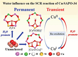 Promoting Effects Of Water On The Nh3 Scr Reaction Over Cu Sapo 34 Catalysts Transient And Permanent Influences On Cu Species Dalton Transactions Rsc Publishing
