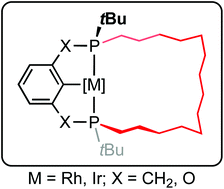 Synthesis And Group 9 Complexes Of Macrocyclic Pcp And Pocop Pincer Ligands Dalton Transactions Rsc Publishing