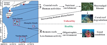 rsc impacts reefs