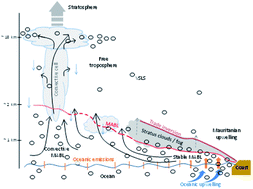 Natural And Anthropogenic Sources Of Bromoform And Dibromomethane In The Oceanographic And Biogeochemical Regime Of The Subtropical North East Atlantic Environmental Science Processes Impacts Rsc Publishing