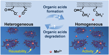 Performing Homogeneous Catalytic Ozonation Using Heterogeneous Mn2 Bonded Oxidized Carbon Nanotubes By Self Driven Ph Variation Induced Reversible Desorption And Adsorption Of Mn2 Environmental Science Nano Rsc Publishing