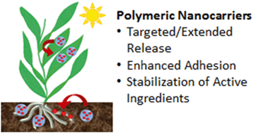 Emerging Investigator Series Polymeric Nanocarriers For Agricultural Applications Synthesis Characterization And Environmental And Biological Interactions Environmental Science Nano Rsc Publishing