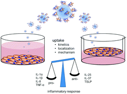 Biological Effects Of Allergen Nanoparticle Conjugates Uptake And Immune Effects Determined On Haelvi Cells Under Submerged Vs Air Liquid Interface Conditions Environmental Science Nano Rsc Publishing