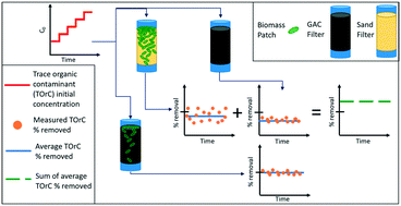Biodegradation And Attenuation Of Mib And 2 4 D In Drinking Water Biologically Active Sand And Activated Carbon Filters Environmental Science Water Research Technology Rsc Publishing