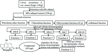 Bergaptol From Blossoms Of Citrus Aurantium L Var Amara Engl Inhibits Lps Induced Inflammatory Responses And Ox Ldl Induced Lipid Deposition Food Function Rsc Publishing