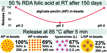 Thermal Protection And Ph Gated Release Of Folic Acid In Microparticles And Nanoparticles For Food Fortification Food Function Rsc Publishing