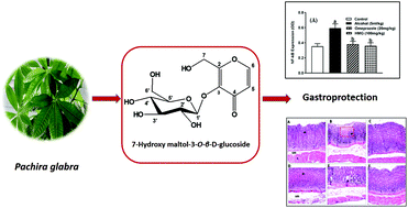 New γ-pyrone glycoside from Pachira glabra and assessment of its ...