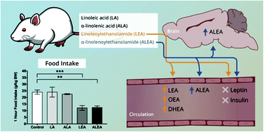 linolenic acid vs linoleic acid