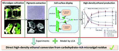 Fermentation of pigment-extracted microalgal residue using yeast cell ... - C9GC02634G