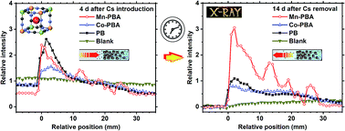 In Situ Xrf Analysis Of Cs Adsorption By The Precipitation Bands Of Prussian Blue Analogues Formed In Agarose Gels Journal Of Analytical Atomic Spectrometry Rsc Publishing