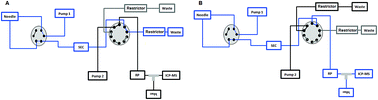 Heart Cut 2dsec Rp Lc Icp Ms As A Screening Tool In Metal Based Anticancer Research Journal Of Analytical Atomic Spectrometry Rsc Publishing