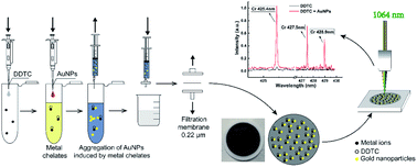 Metal-chelate Induced Nanoparticle Aggregation Enhanced Laser-induced ...