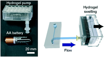 A hydrogel-driven microfluidic suction pump with a high flow on a (RSC Publishing)