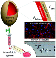 Self-sufficient, low-cost microfluidic pumps utilising reinforced balloons  - Lab on a Chip (RSC Publishing)