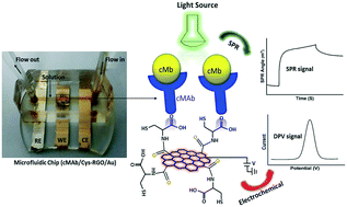 Dual-modality Microfluidic Biosensor Based On Nanoengineered Mesoporous ...